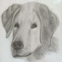 My project in Contemporary Portraits with Graphite course . % Samriddhi Gupta tarafından hazırlanan Geleneksel illüstras, on, Güzel sanatlar, Eskiz çizimi, Kalem Çizimi, Çizim, Portre Çizimi, Gerçekçi Çizim, Sanatsal Çizim, Ve Şekil Çizimi projesi - 06.21.2021