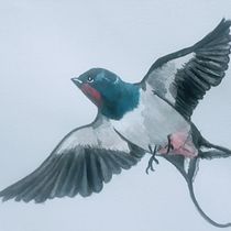 Mi Proyecto del curso: Ilustración naturalista de aves con acuarela. Ilustração tradicional, Pintura em aquarela, Desenho realista e Ilustração naturalista projeto de Gretel Perez - 29.06.2021