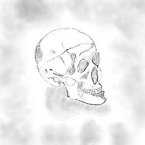 Human Skull. Traditional illustration, Sketching, Creativit, Drawing, and Sketchbook project by lforino86 - 06.28.2021