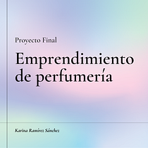 iZenses: Estrategia de comunicación para redes sociales. Social Media, Digital Marketing, Mobile Marketing, Facebook Marketing, Communication, Instagram Marketing, and Growth Marketing project by Karina Ramírez - 06.10.2021