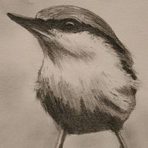 My project in Artistic Watercolor Techniques for Illustrating Birds course. Traditional illustration, Watercolor Painting, Realistic Drawing, and Naturalistic Illustration project by Celeste Delaney - 06.23.2021