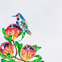 Mi Proyecto del curso: Técnicas mixtas de ilustración: combina acuarela y Photoshop. Ilustração tradicional, Pintura em aquarela, Ilustração digital, e Desenho digital projeto de Silvana Hernandez - 06.07.2021