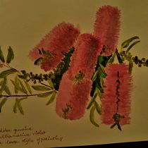 My project in Botanical Sketchbooking: A Meditative Approach course. Ilustração tradicional, Esboçado, Desenho, Pintura em aquarela, Ilustração botânica, e Sketchbook projeto de missie007 - 01.07.2021