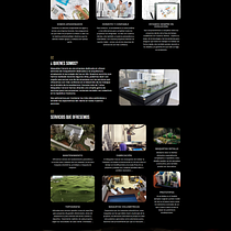 Página Web Maquetas. UX / UI, Design interativo, Web Design, Desenvolvimento Web, e Mobile Design projeto de Armando De Leon - 02.07.2021