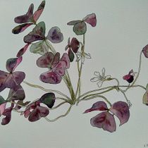 My project in Botanical Sketchbooking: A Meditative Approach course. Ilustração tradicional, Esboçado, Desenho, Pintura em aquarela, Ilustração botânica, e Sketchbook projeto de jojo - 05.09.2021
