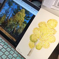 Mi Proyecto del curso: Cuaderno botánico en acuarela. Projekt z dziedziny Trad, c, jna ilustracja, Malowanie akwarelą, R, sunek botaniczn i Sketchbook użytkownika Adriana Martínez - 02.07.2021