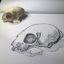 My project in Daily Sketching for Creative Inspiration course. Traditional illustration, Sketching, Creativit, Drawing, and Sketchbook project by Nina Lehdorfer - 07.02.2021