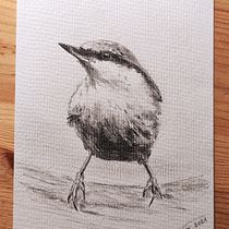 My project in Artistic Watercolor Techniques for Illustrating Birds course. Traditional illustration, Watercolor Painting, Realistic Drawing, and Naturalistic Illustration project by dzasti3 - 07.02.2021