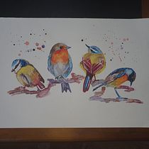 My project in Artistic Watercolor Techniques for Illustrating Birds course. Traditional illustration, Watercolor Painting, Realistic Drawing, and Naturalistic Illustration project by Jo-Anne - 08.24.2021