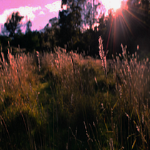 Mi Proyecto del curso: Fotografía profesional: gestiona tu carrera como freelance. Un progetto di Fotografia, Consulenza creativa e Gestione progetti di design di libny Rojas - 02.07.2021