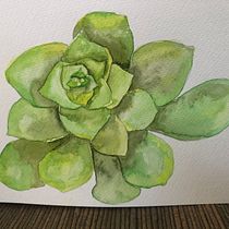 My project in Botanical Illustration with Watercolors course. Ilustração tradicional, Artes plásticas, Pintura, Desenho, Pintura em aquarela e Ilustração botânica projeto de bobbileewilson - 04.07.2021