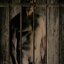 My project in Photographic Post-Production for Imagination course. Photograph, Photograph, Post-production, Photo Retouching, Fine-Art Photograph, and Photomontage project by Pekka Innanen - 07.02.2021