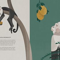 Jungle Book: Capuchin Monkey. Un progetto di Illustrazione vettoriale, Illustrazione digitale e Illustrazione infantile di sabrina.tillemans - 04.07.2021