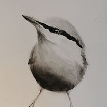 My project in Artistic Watercolor Techniques for Illustrating Birds course. Traditional illustration, Watercolor Painting, Realistic Drawing, and Naturalistic Illustration project by yitingng - 07.05.2021