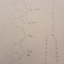Mi Proyecto del curso: Dibujo anatómico para principiantes Ein Projekt aus dem Bereich Bildende Künste, Skizzenentwurf, Bleistiftzeichnung, Zeichnung, Realistische Zeichnung und Anatomische Zeichnung von Adolfo Pérez López - 24.04.2021