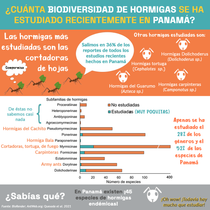 Mi Proyecto del curso: Ilustración de infografías para público infantil y juvenil. Information Design, Infographics, Communication, and Children's Illustration project by rquesada - 07.03.2021