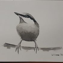 Meu projeto do curso: Técnicas expressivas de aquarela para ilustração de pássaros. Traditional illustration, Watercolor Painting, Realistic Drawing, and Naturalistic Illustration project by Liliane Medeiros Fonseca - 07.06.2021