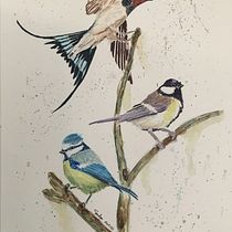 Mon projet du cours : Techniques artistiques d'aquarelle pour illustrer les oiseaux. Traditional illustration, Watercolor Painting, Realistic Drawing, and Naturalistic Illustration project by Séverine Bazoge - 07.07.2021