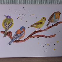 My project in Artistic Watercolor Techniques for Illustrating Birds course. Traditional illustration, Watercolor Painting, Realistic Drawing, and Naturalistic Illustration project by Hazel Fairclough - 07.07.2021