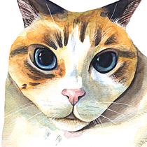 Mi Proyecto del curso: Técnicas experimentales de acuarela para principiantes . Traditional illustration, Fine Arts, Watercolor Painting, and Naturalistic Illustration project by Manuel Camacho - 07.06.2021