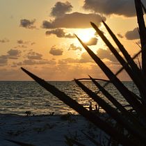 Isla Arena, Campeche. Instagram Photograph, Documentar, Photograph, and Photographic Composition project by oamv70 - 07.08.2021