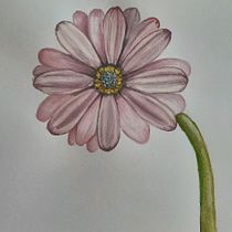 Mi Proyecto del curso: Acuarela botánica: ilustra la anatomía de las flores. Un progetto di Illustrazione tradizionale, Belle arti, Pittura, Disegno, Pittura ad acquerello e Illustrazione botanica di Cindy Pizarro Toledo - 08.07.2021
