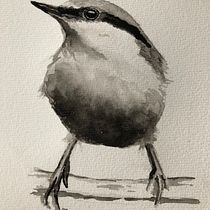 My project in Artistic Watercolor Techniques for Illustrating Birds course. Traditional illustration, Watercolor Painting, Realistic Drawing, and Naturalistic Illustration project by Dolores van Arkel - 07.11.2021