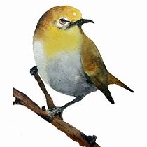 My project in Artistic Watercolor Techniques for Illustrating Birds course. Traditional illustration, Watercolor Painting, and Realistic Drawing project by Franklin - 07.12.2021