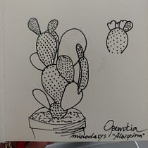 Il mio progetto del corso:  Sketchbook botanico: un approccio meditativo. Ilustração tradicional, Esboçado, Desenho, Pintura em aquarela, Ilustração botânica, e Sketchbook projeto de sabrina.delpiano - 22.06.2021