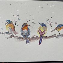 My project in Artistic Watercolor Techniques for Illustrating Birds course. Traditional illustration, Watercolor Painting, Realistic Drawing, and Naturalistic Illustration project by Louise Johnson - 07.12.2021