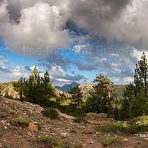 Nubes y bosque. Photograph, Outdoor Photograph, Instagram Photograph, Documentar, Photograph, and Photographic Composition project by Ilse Plauchu Frayn - 07.07.2021