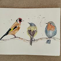 My project in Artistic Watercolor Techniques for Illustrating Birds course. Traditional illustration, Watercolor Painting, Realistic Drawing, and Naturalistic Illustration project by Liz Marlow - 07.13.2021