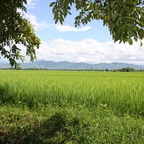My project in Beginner’s Photography: Basic Camera Use and Theory course. Photographic Composition, Photograph, and Digital Photograph project by unnayanindia6 - 07.16.2021
