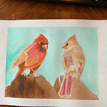 My project in Artistic Watercolor Techniques for Illustrating Birds course. Traditional illustration, Watercolor Painting, Realistic Drawing, and Naturalistic Illustration project by nordmed711 - 07.16.2021