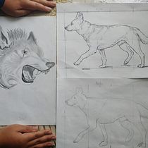 Mi Proyecto del curso: Técnicas experimentales de acuarela para principiantes . Un progetto di Illustrazione tradizionale, Belle arti, Pittura ad acquerello e Illustrazione naturalistica di tomasagila - 18.07.2021