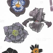 Mi Proyecto del curso: Acuarela botánica para estampados. Un progetto di Illustrazione tradizionale, Pattern design, Pittura ad acquerello e Illustrazione botanica di Lily Portius Yáñez - 19.07.2021