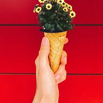 No To Stress And Yes To Happiness! My project in Transforming Your Creative Ideas into Personal Projects course. Un proyecto de Consultoría creativa, Creatividad, Fotografía digital, Instagram, Fotografía gastronómica, Diseño digital, Fotografía para Instagram, Dibujo digital, Pintura digital, Dibujo anatómico, Fotografía analógica e Ilustración naturalista				 de Алёна Федина - 19.07.2021