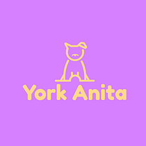 Meu projeto do curso: York Anita. Projekt z dziedziny Design, Br, ing i ident, fikacja wizualna, Projektowanie graficzne, Projektowanie logot i pów użytkownika angelomiguel1112 - 19.07.2021
