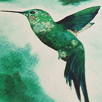 Meu projeto do curso: Técnicas expressivas de aquarela para ilustração de pássaros. Traditional illustration, Watercolor Painting, Realistic Drawing, and Naturalistic Illustration project by Bruna C - 07.17.2021
