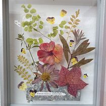 Mi Proyecto del curso: Técnicas básicas de prensado botánico. Un progetto di Artigianato, Belle arti, Collage e DIY di Silvia Liliana Garavagno - 20.07.2021