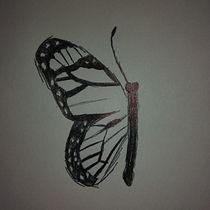 Mi Proyecto del curso: Media mariposa monarca. Drawing, and Sketchbook project by Leo Groce - 07.20.2021