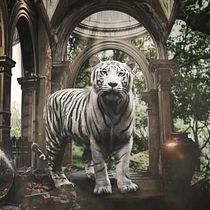Mi Proyecto del curso: Secretos del fotomontaje y el retoque creativo. Photograph, Photograph, Post-production, VFX, Photo Retouching, Fine-Art Photograph, Photographic Composition, and Photomontage project by DAVID ROSARIO LEYTE - 07.20.2021