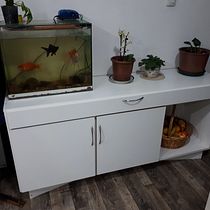 Mi Proyecto del curso: Carpintería profesional para principiantes. Un progetto di Artigianato, Design e creazione di mobili, Interior design, DIY e Falegnameria  di Leonardo Kelly Rochon - 05.07.2021