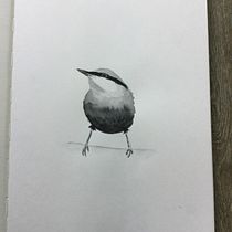 Project Watercolor Illustrating Birds course from Sarah Stokes. Traditional illustration, Watercolor Painting, Realistic Drawing, and Naturalistic Illustration project by Barbara - 07.27.2021