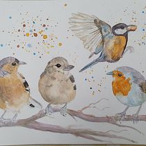 My project in Artistic Watercolor Techniques for Illustrating Birds course. Traditional illustration, Watercolor Painting, Realistic Drawing, and Naturalistic Illustration project by ylva_hindefelt - 07.23.2021