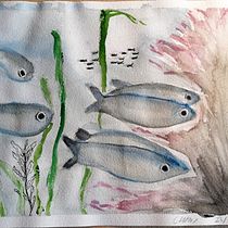 Mi Proyecto del curso: Ilustración de universos marinos en acuarela. Un projet de Illustration traditionnelle, Peinture, Aquarelle et Illustration naturaliste de Clara Sala - 23.07.2021
