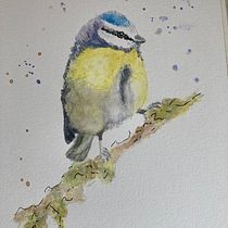 My project in Artistic Watercolor Techniques for Illustrating Birds course. Traditional illustration, Watercolor Painting, Realistic Drawing, and Naturalistic Illustration project by jtribbe68 - 07.24.2021