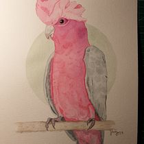 Mi Proyecto del curso: Ilustración naturalista de aves con acuarela. Projekt z dziedziny Trad, c, jna ilustracja, Malowanie akwarelą, R, sunek realist, czn, Ilustracja naturalist i czna użytkownika jazmin_garcia_jimenez - 24.07.2021