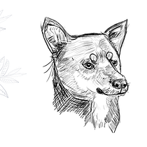 My project in Daily Sketching for Creative Inspiration course. Traditional illustration, Sketching, Creativit, Drawing, and Sketchbook project by cuongl85 - 07.12.2021