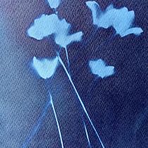 My project in Cyanotype: Printing with Light course. Un projet de Artisanat, Beaux Arts, Estampe, DIY , et Photographie argentique de Adrian Fingleton - 26.07.2021